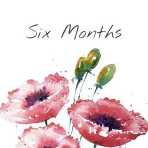 Adhésion de six mois