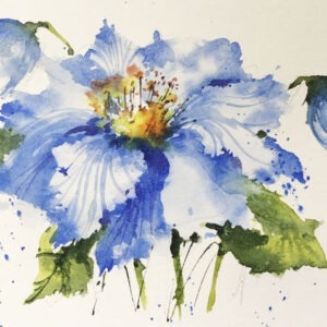 Loose Beginners Poppy Blues