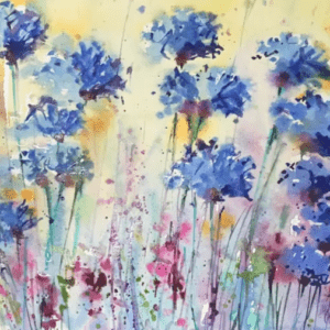 Débutants libres Pré bleu