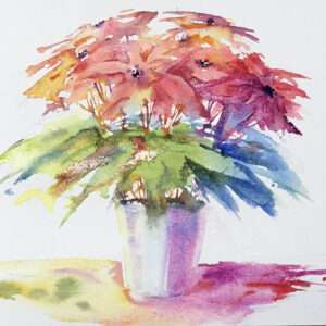 Poinsettia de Noël en vrac pour débutants