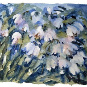 Loose Intermediates Snowdrops Gathering