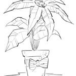 poinsettia-fun-line-drawing