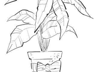 Poinsettia Fun Line Drawing