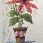 poinsettia-fun-colour