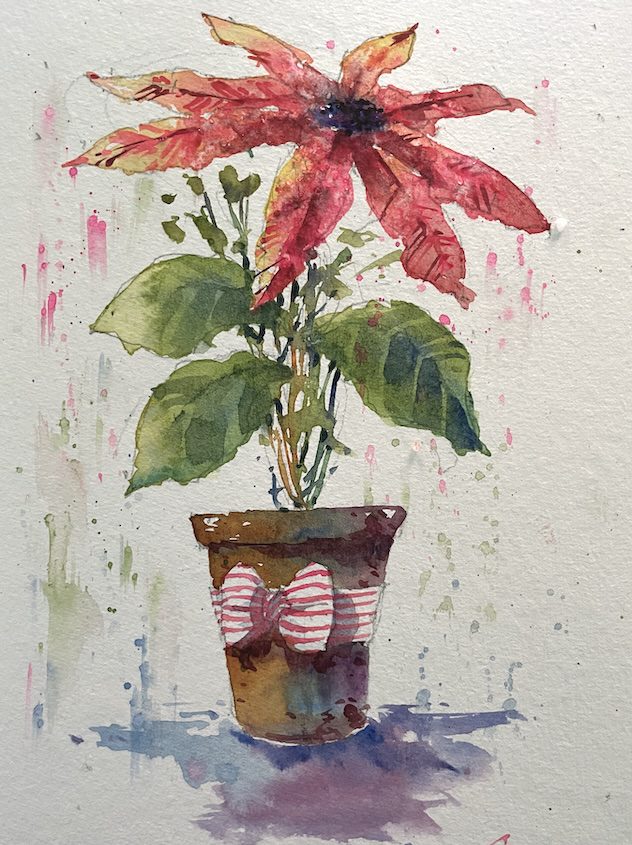 poinsettia-fun-colour